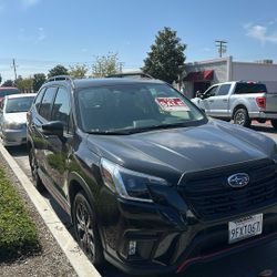 2023 Subaru Forester