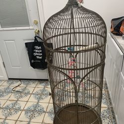 Bird Cage