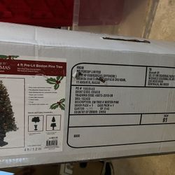 Two 4ft Lit Boston Pine Christmas Trees