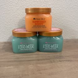 Tree Hut Body Sugar Scrub $5 Each