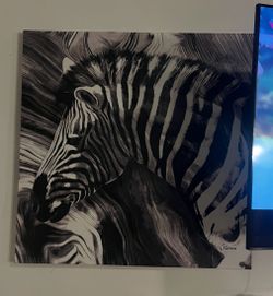 Zebra Square Art Print $40