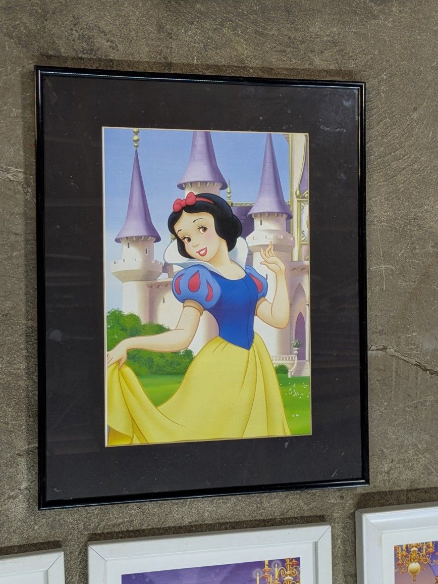 Disney Princess Pictures