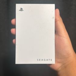 Ps5 Storage Card