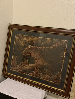 Home Interior Painting 