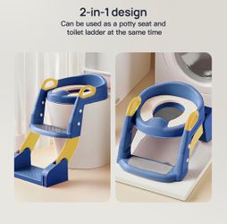 2-in-1 Kids Potty Seat with Step Ladder