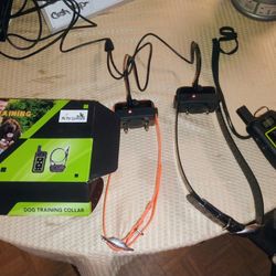 Dog Electric Training Collar 