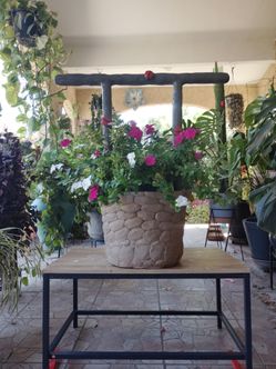 Cement Well Planter Pot🐞