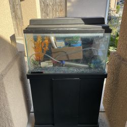 Fish Tank