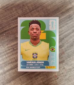 Vinny Vinicius Junior