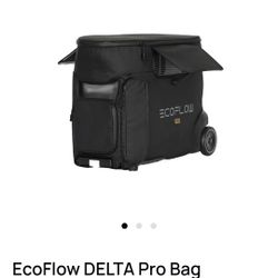 EcoFlow Delta Pro Case Bag