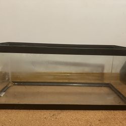 Fish Tank