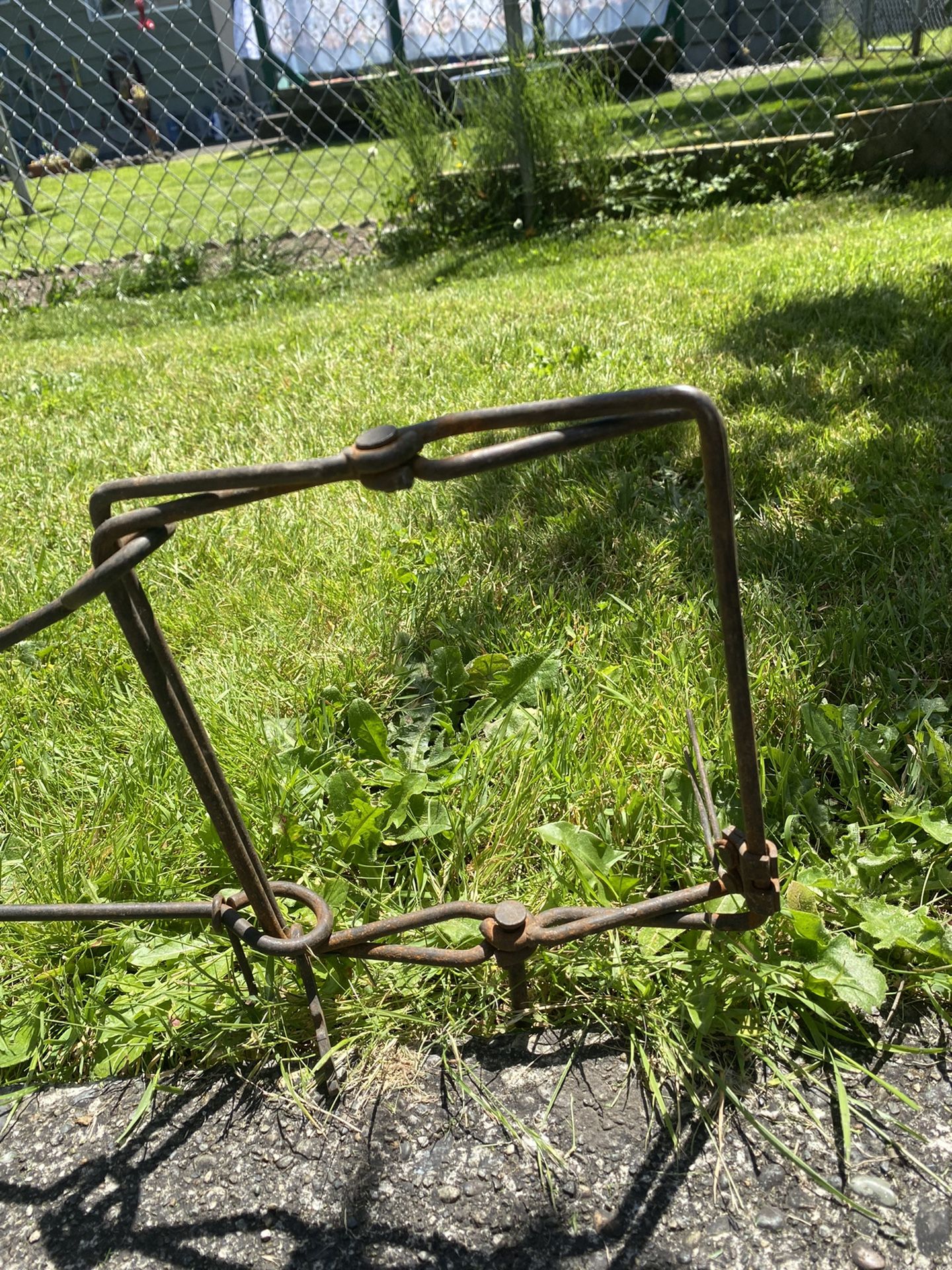 Foot traps corner bear traps