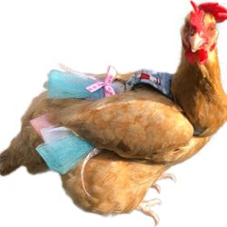 Handmade Chicken Tutus