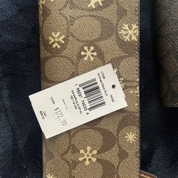 Authentic Louis Vuitton Purse and Wallet for Sale in Gilbert, AZ - OfferUp