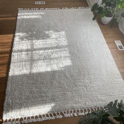 Cozy, Clean, and Fluffy Area Rug