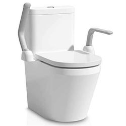 New DAILYLIFE Toilet Safety Rail, Heavy Duty (480 LB) Armrest Hand Rail, Can be Folded Up, Aluminum Alloy Support for Elderly Senior Handicap Pregnant