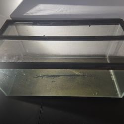 50 Gallon Fish Tank