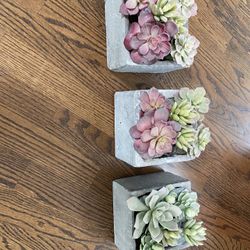 Artificial Succulent Plants
