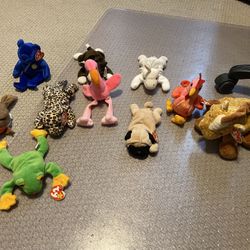 Beanie Babies Collections