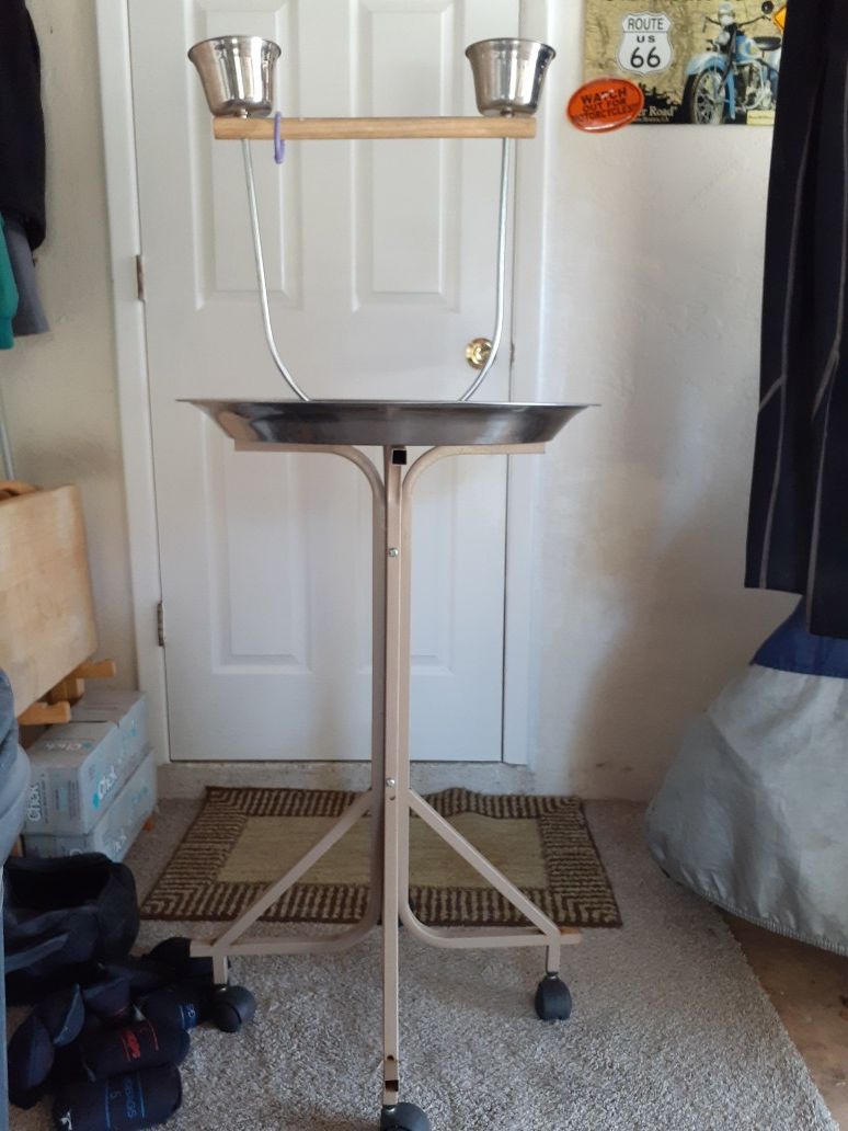 40 inch parrot stand