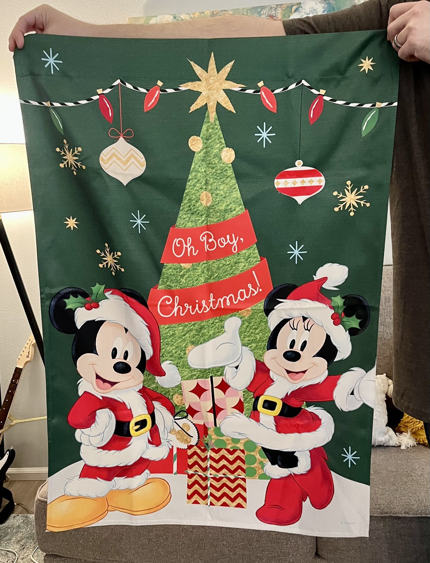 Disney Christmas Flag