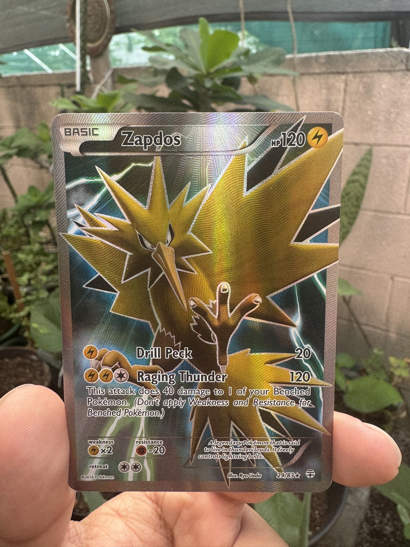 Pokemon Cards/Singles - Zapdos