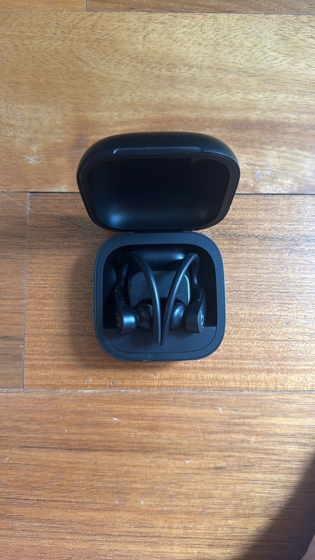 Beats Powerbeats Pro Wireless Earbuds
