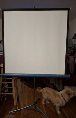 Vintage Projector Screen