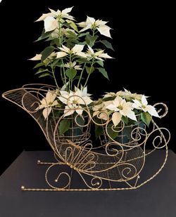 Beautiful Gold-Tone Double Wire Holiday Plant Holder