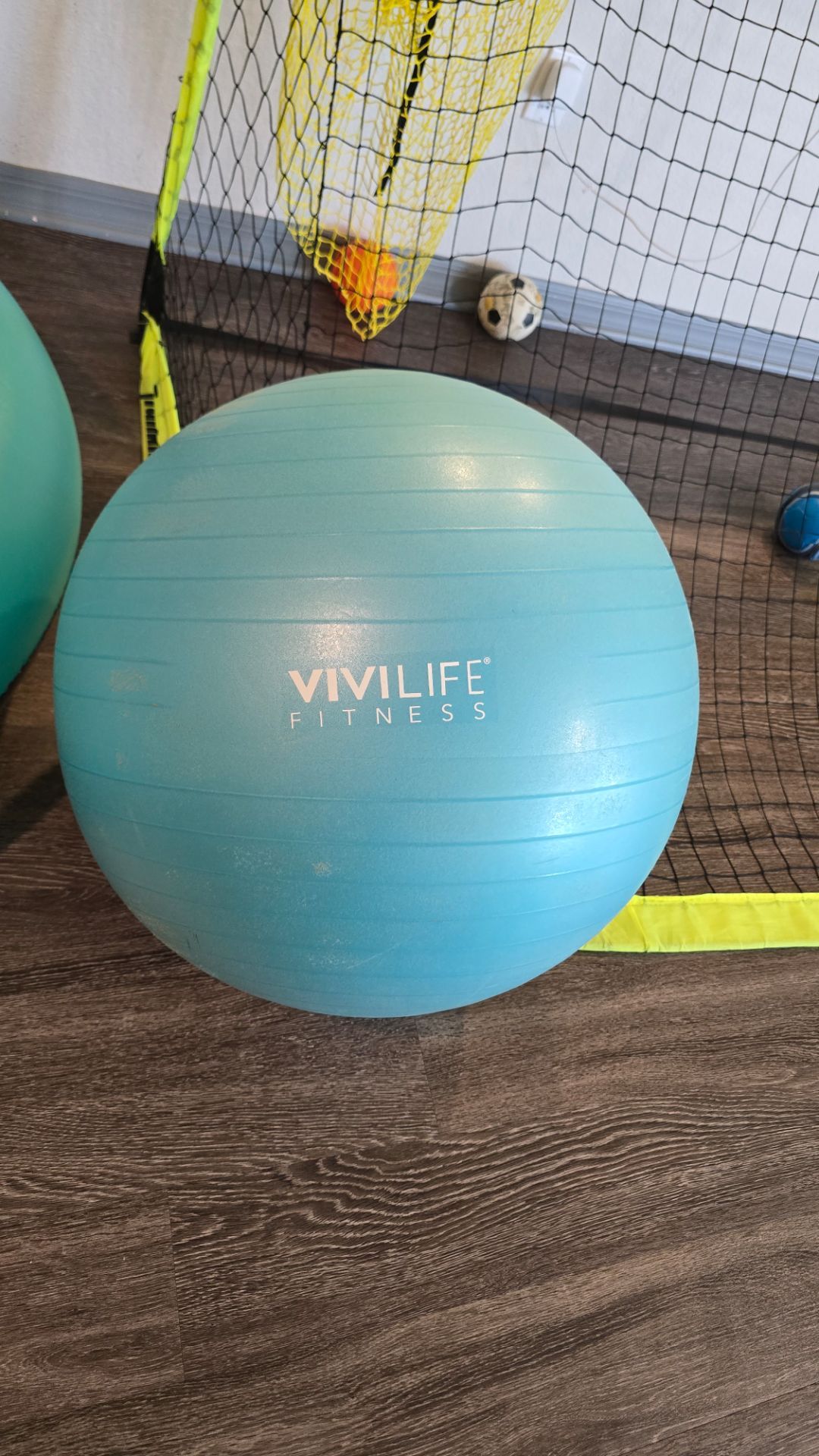 Thick Yoga Ball