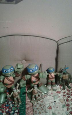 Tortugas