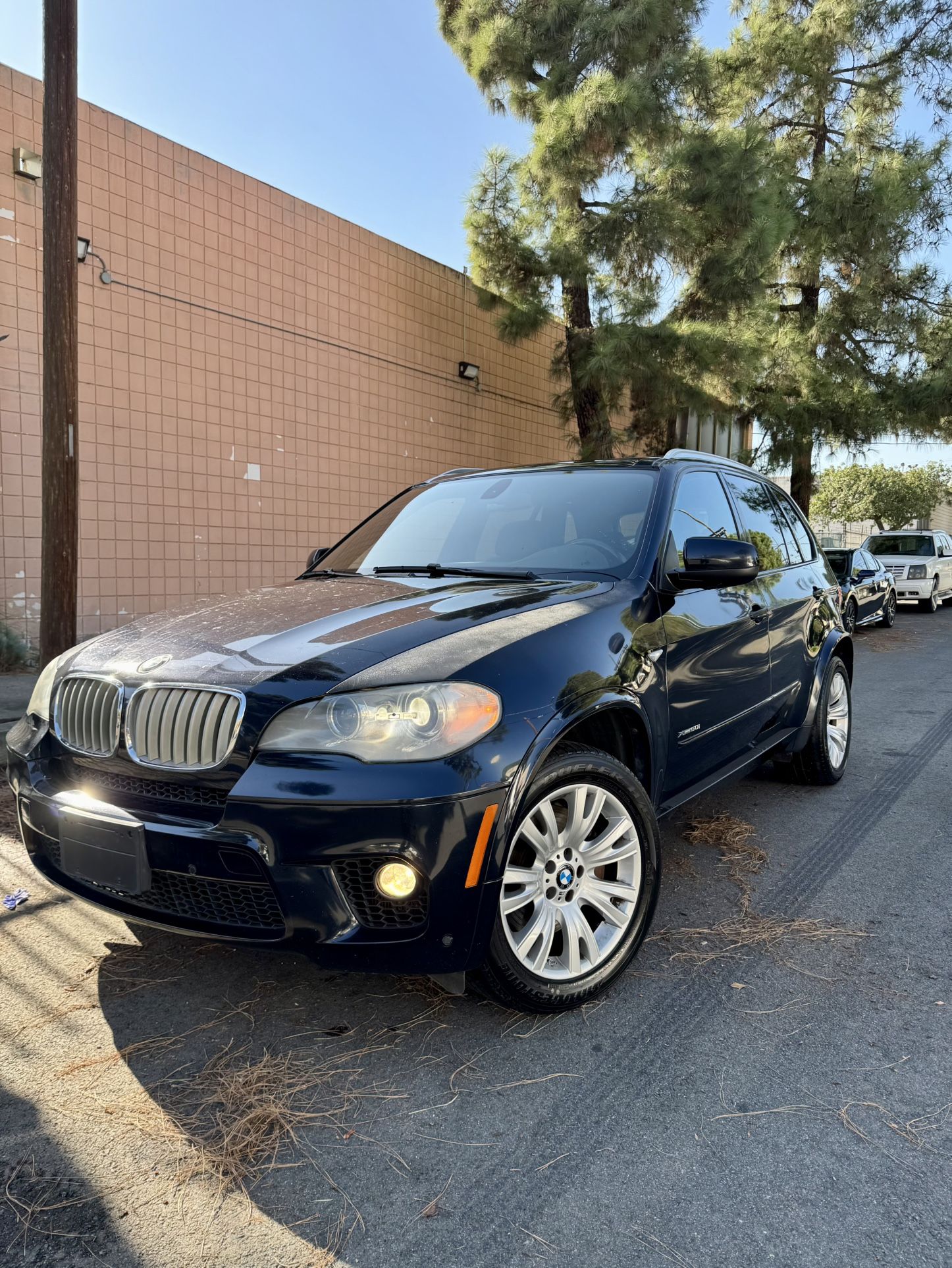 2013 BMW X5