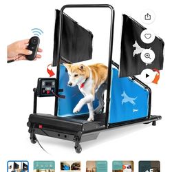 Lifepro dog treadmill