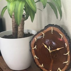 Handmade Tree Slices Wall clock