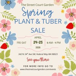 Huge Perennial and Tuber sale! 