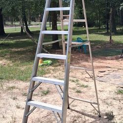Werner 8ft Ladder
