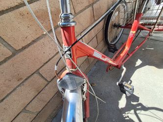 Adult Bike With Cargo Basket