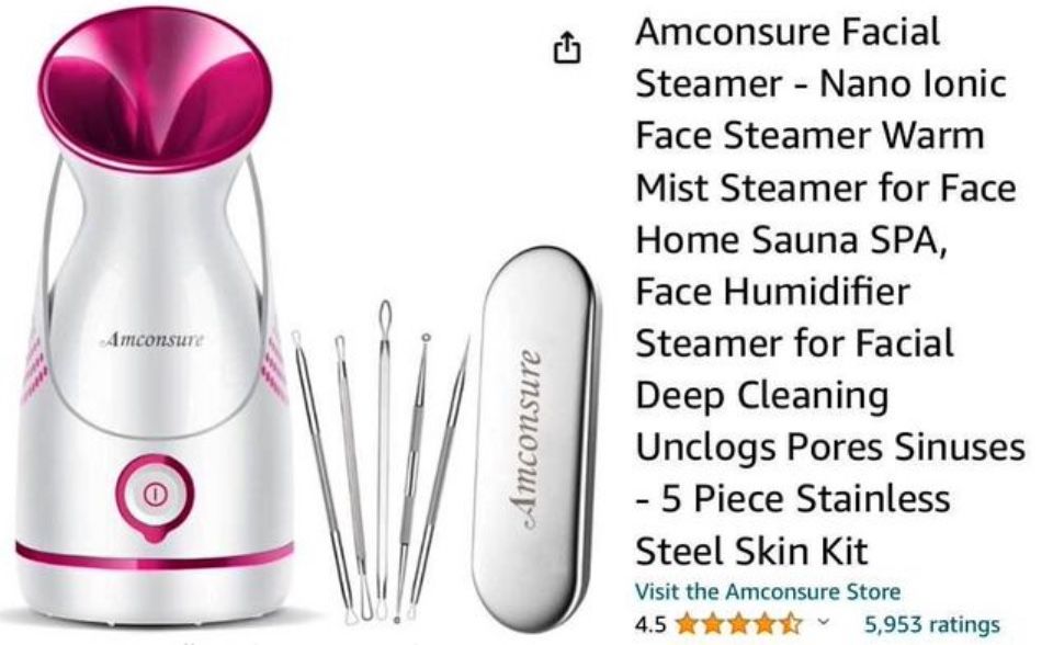 Facial Steamer