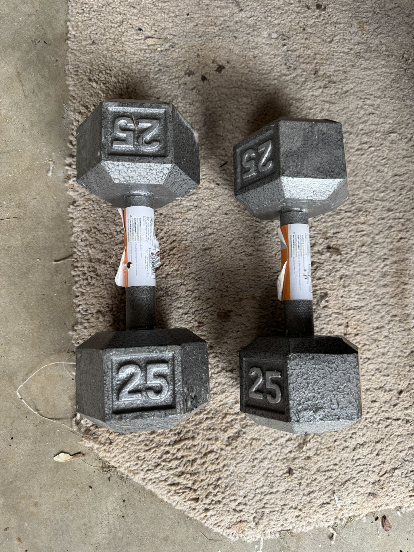 25lb Dumbbells