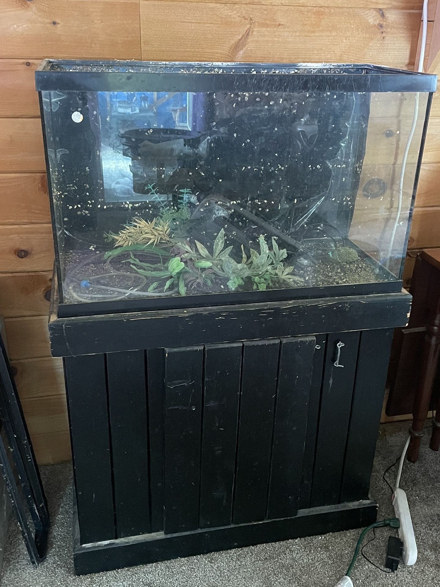 Fish Aquarium