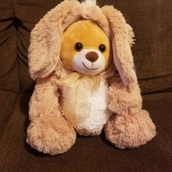 Teddy Bear Bunny Costume Plush