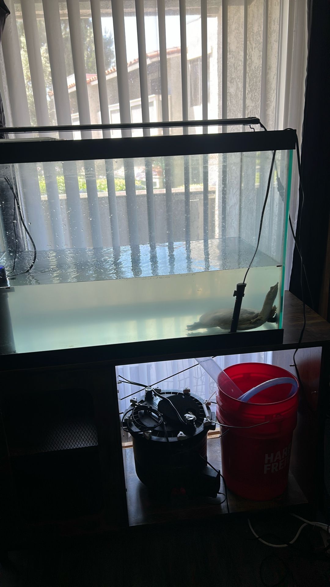 Fish Tank No Cracks 