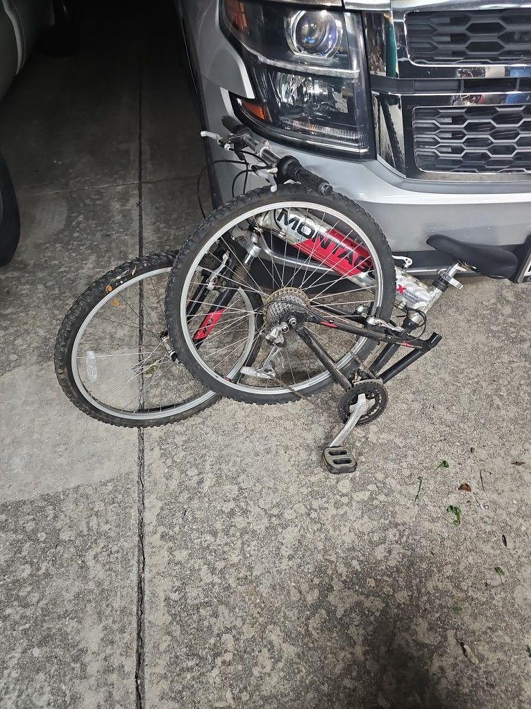 Montague Folding Bike