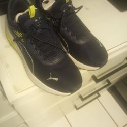 Pumas 