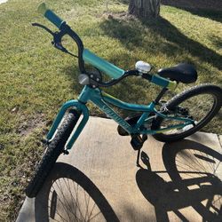 Specialized Child Bike 