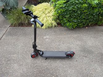 Segway Ninebot Zing C20 Kids Electric Scooter