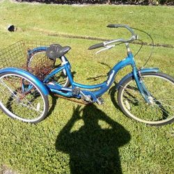 Schwinn Trike Fix Tires N Oil Chain N Ride Off Into Sunset 