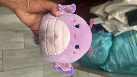 Squish mellow