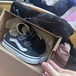 Baby Vans 