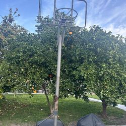 Basketball Hoop 
